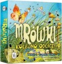 Gra Mrówki - Kolejno odlicz!