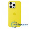 Etui silikonowe z MagSafe do iPhonea 16 Pro - karambola