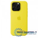 Etui silikonowe z MagSafe do iPhonea 16 Pro - karambola