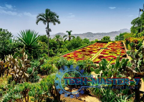 Puzzle 1000 elementów Ogród Botaniczny Madera Portugalia Puzzle 1000 elementów Ogród Botaniczny Madera Portugalia
