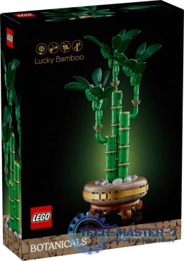 Klocki Botanicals 10344 Dracena sandera