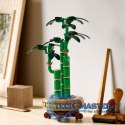 Klocki Botanicals 10344 Dracena sandera