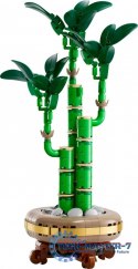 Klocki Botanicals 10344 Dracena sandera