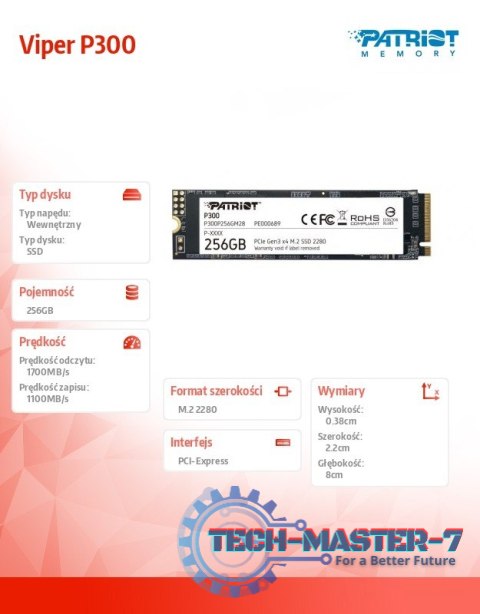 Dysk SSD P300 256GB M.2 PCIe Gen 3 x4 1700/1100 Dysk SSD P300 256GB M.2 PCIe Gen 3 x4 1700/1100