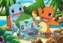 Puzzle 2x24 elementy Pokemon