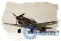 Model plastikowy P-40B/C Hawk- 81