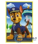 Puzzle 3x50 elementów Psi Patrol nasze pieski