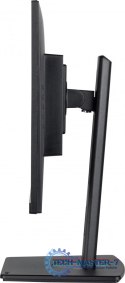 Monitor IIYAMA 4948570123179 (23.8" /IPS /100Hz /2560 x 1440 /Czarny)