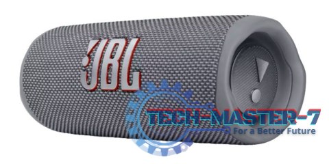 Głośnik JBL Flip 6 szary