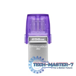 Pendrive (Pamięć USB) KINGSTON (256 GB /Szaro-fioletowy )