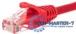 NETRACK RJ45 - RJ45 0.25 m Czerwony 0.25 Patchcord