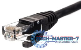 NETRACK RJ45 - RJ45 0.25 m Czarny 0.25 Patchcord