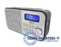 Radiobudzik CAMRY CR1179