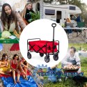Wózek transportowy składany duży wózek ogrodowy plażowy czerwony 47x105 cm MultiGarden MULTI GARDEN