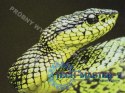Podkładka pod mysz printable biała 220x180