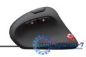 Mysz gamingowa GXT 144 REXX