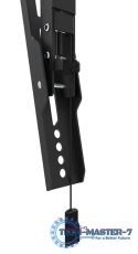 Uchwyt ścienny WL35-550BL16 40-75 cali