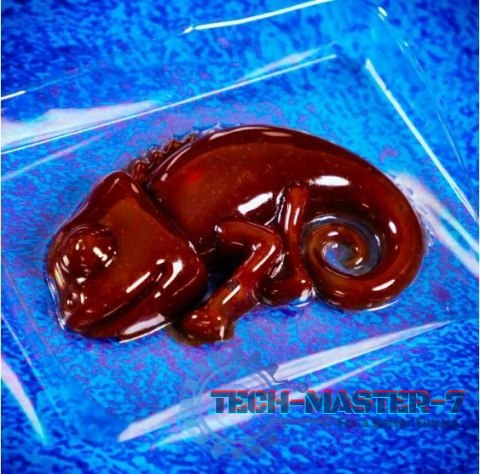 Zestaw naukowy Crazy Science Slime Kameleon Zestaw naukowy Crazy Science Slime Kameleon