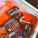 Zestaw naukowy Crazy science Smoki i dinozaury