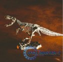 Zestaw naukowy Crazy science Smoki i dinozaury