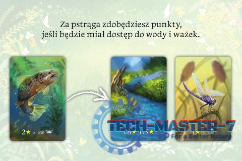 Gra Ekosystem Gra Ekosystem