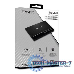 Dysk SSD 250GB SSD7CS900-250-RB