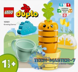 Klocki DUPLO 10981 Rosnąca marchewka