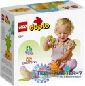 Klocki DUPLO 10981 Rosnąca marchewka