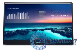 Monitor przenośny P1424H 14.0 cali 16:9/1920x1080/2xUSB-C