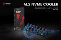 Chłodzenie do dysków M.2 NVMe 2280, AK-60