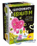 Zestaw naukowy Im a Genius Eksperymenty z brokatem