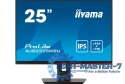 Monitor 25 cali XUB2595WSU-B5 IPS.PIVOT.16:10.USB.DP.HDMI.VGA.2x2W. 300(cd/m2).HAS(150mm)