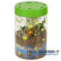 Hodowla dinozaurów terrarium projektor z lampką nocną LED