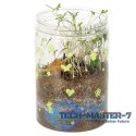 Hodowla dinozaurów terrarium projektor z lampką nocną LED
