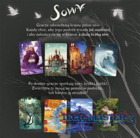 Gra Sowy Gra Sowy