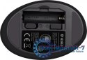 Mysz ergonomiczna pionowa YMS 50350 ERGO USB A , USB C