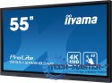 Monitor interaktywny 55 cali TE5512MIS-B3AG INFRARED,40pkt,IPS,4K,7H,WiFi,VGA,HDMI, USB-c,Wifi,Bluetooth,metal,8ms