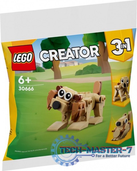 Display Polybag MIX 24 Display Polybag MIX 24